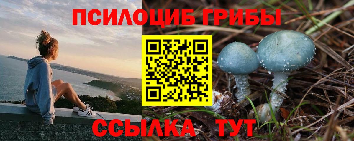 Галлюциногенные грибы ЛСД Десногорск