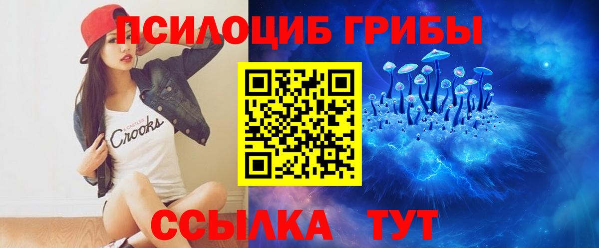 Псилоцибиновые грибы GOLDEN TEACHER  Вход с VPN  Десногорск 